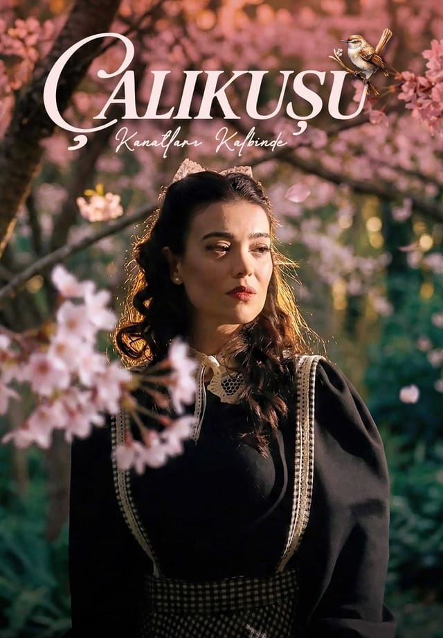 Çalıkuşu - Kanatların Kalbinde